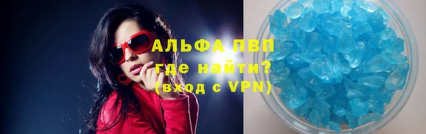 мдпв Богданович