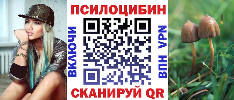 Псилоцибиновые грибы мухоморы  гидра ТОР  Бобров  где найти наркотики 